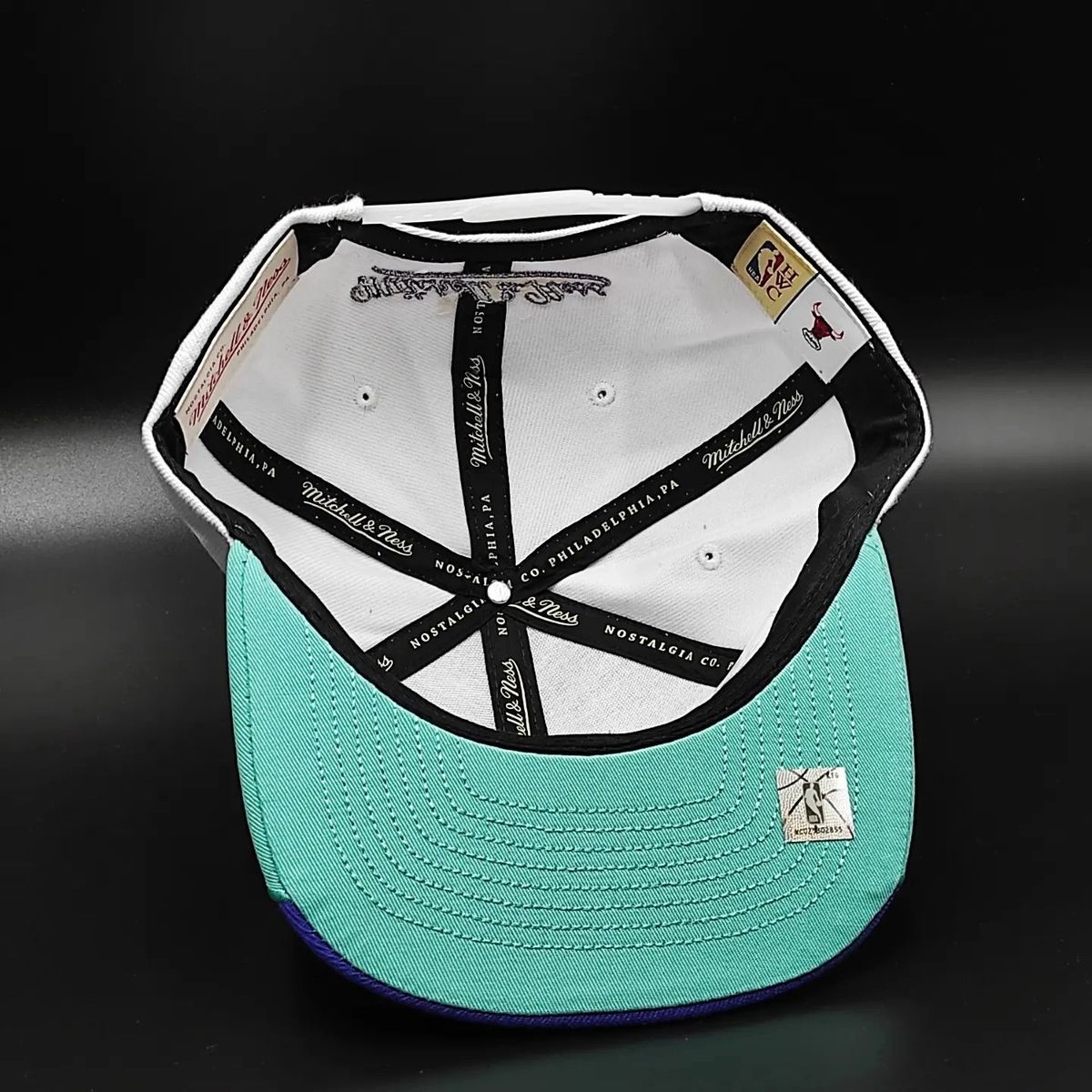 Mitchell & Ness Chicago Bulls Exclusive AIR JORDAN DAY 5 Snapback Cap - Purple/Teal