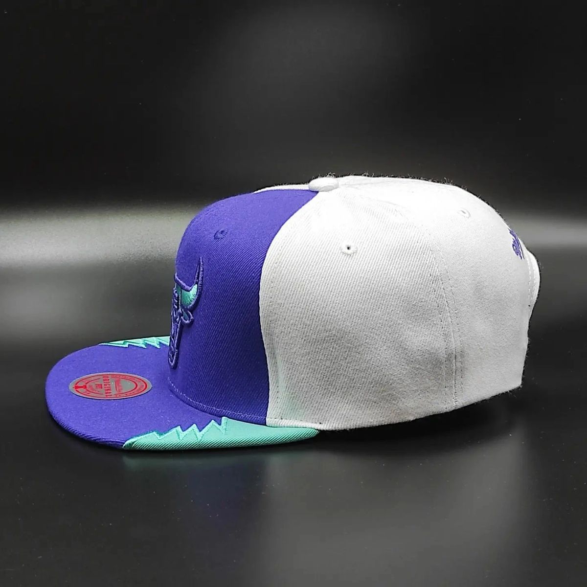 Mitchell & Ness Chicago Bulls Exclusive AIR JORDAN DAY 5 Snapback Cap - Purple/Teal