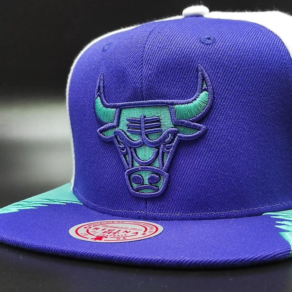 Mitchell & Ness Chicago Bulls Exclusive AIR JORDAN DAY 5 Snapback Cap - Purple/Teal