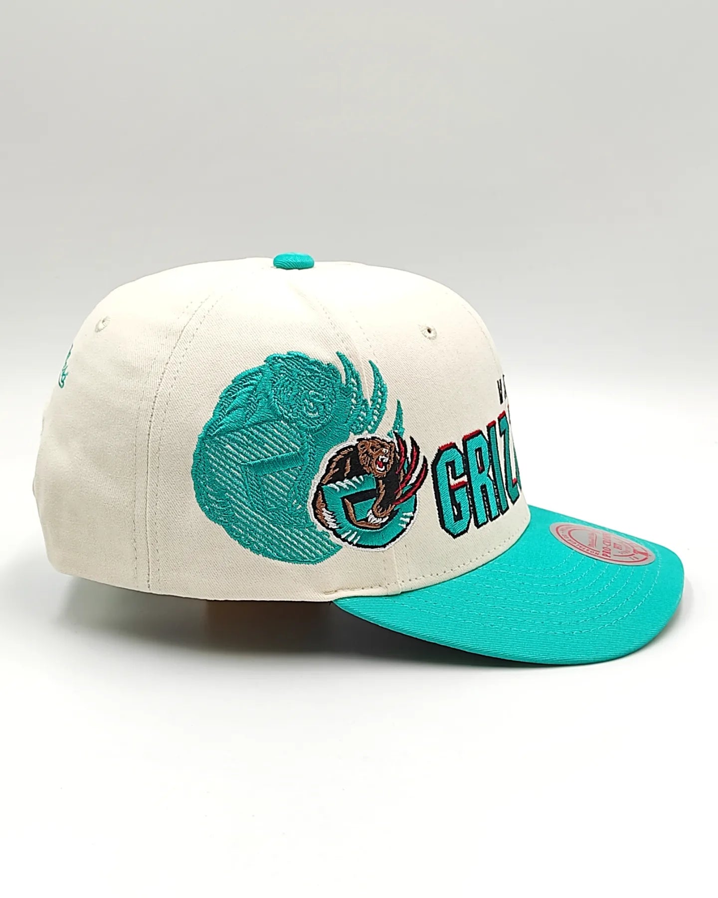 Mitchell And ness Vancouver Grizzlies '96 Draft' Gorra con cierre ajustable Pro Crown