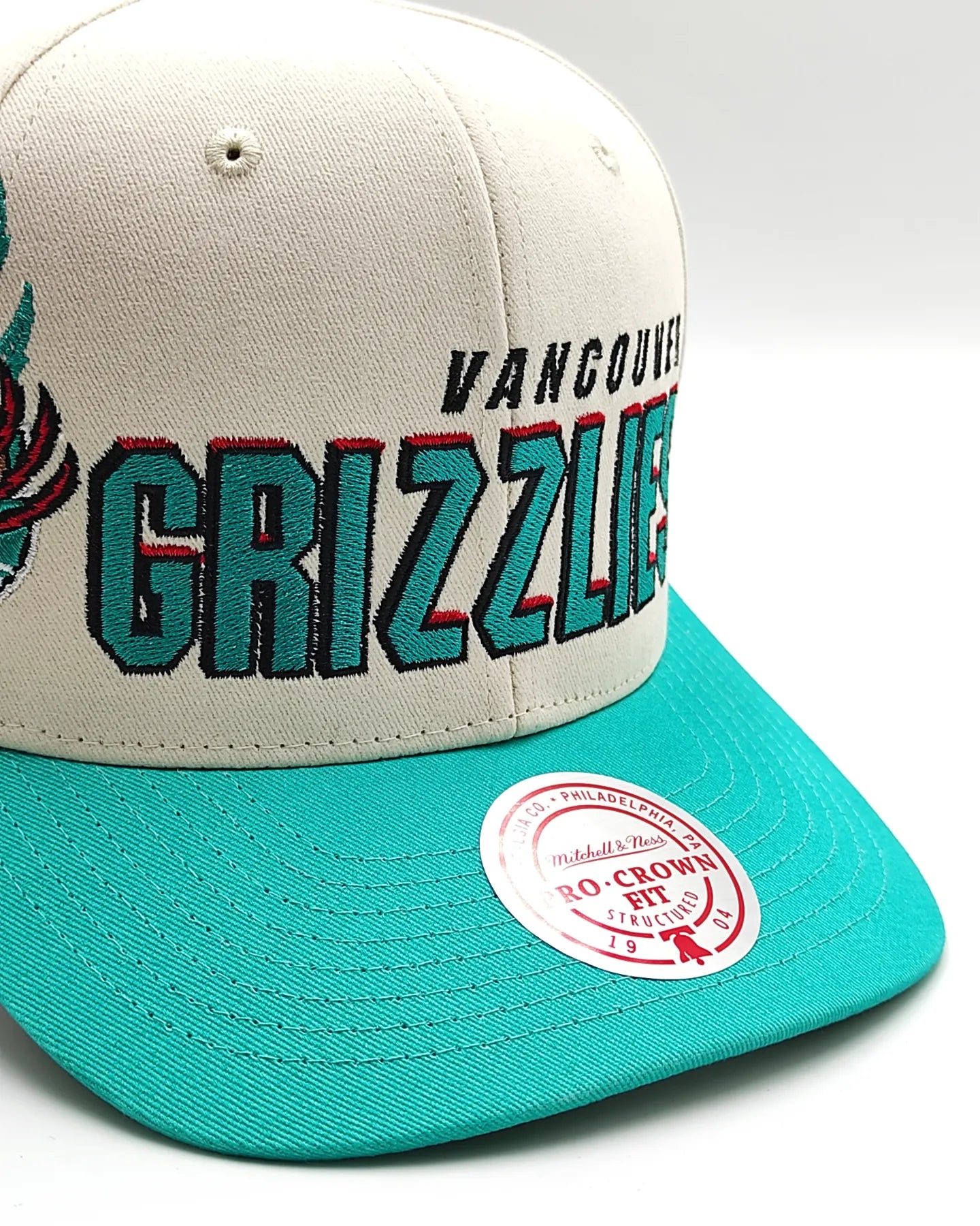 Mitchell And ness Vancouver Grizzlies '96 Draft' Gorra con cierre ajustable Pro Crown