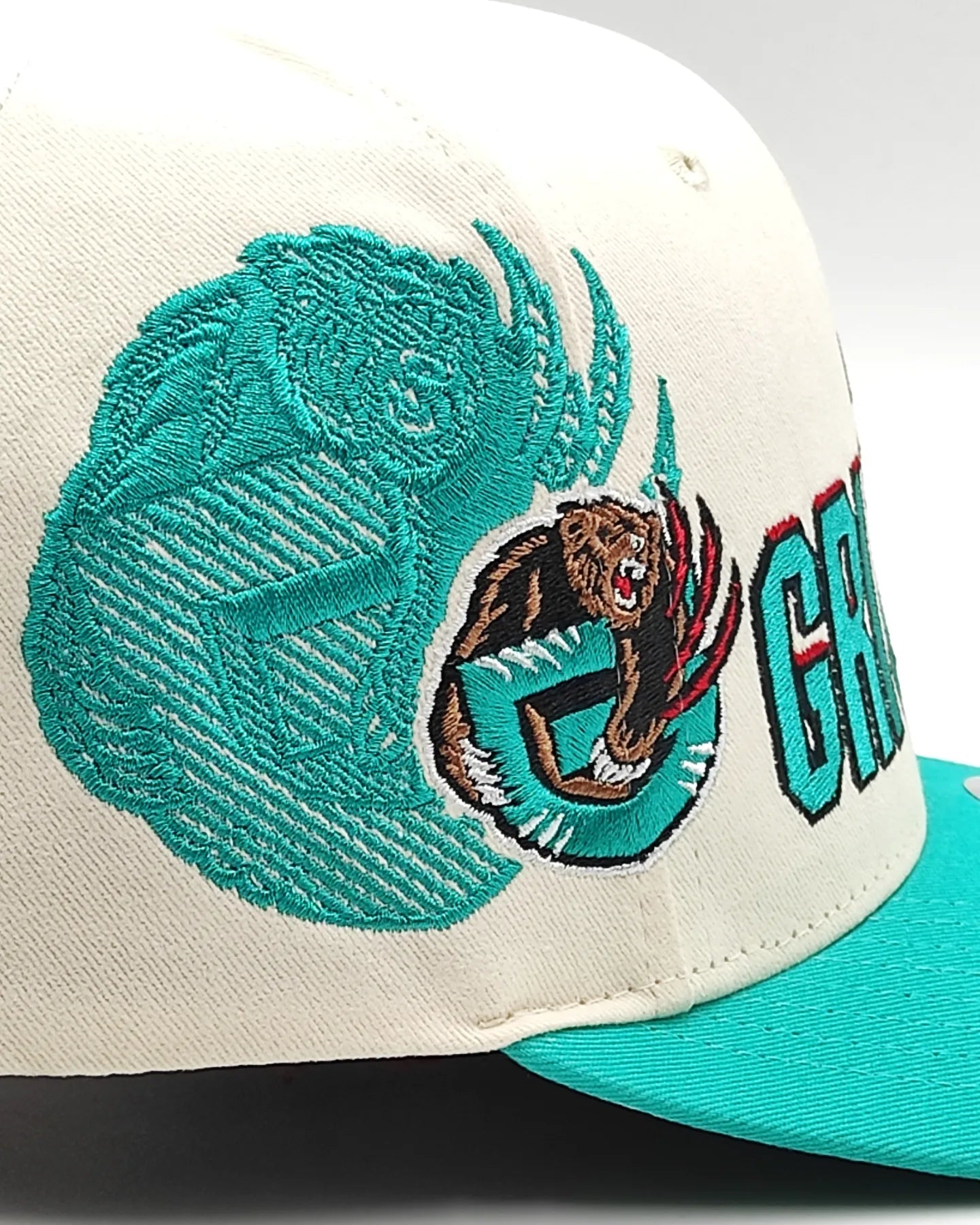 Mitchell And ness Vancouver Grizzlies '96 Draft' Gorra con cierre ajustable Pro Crown