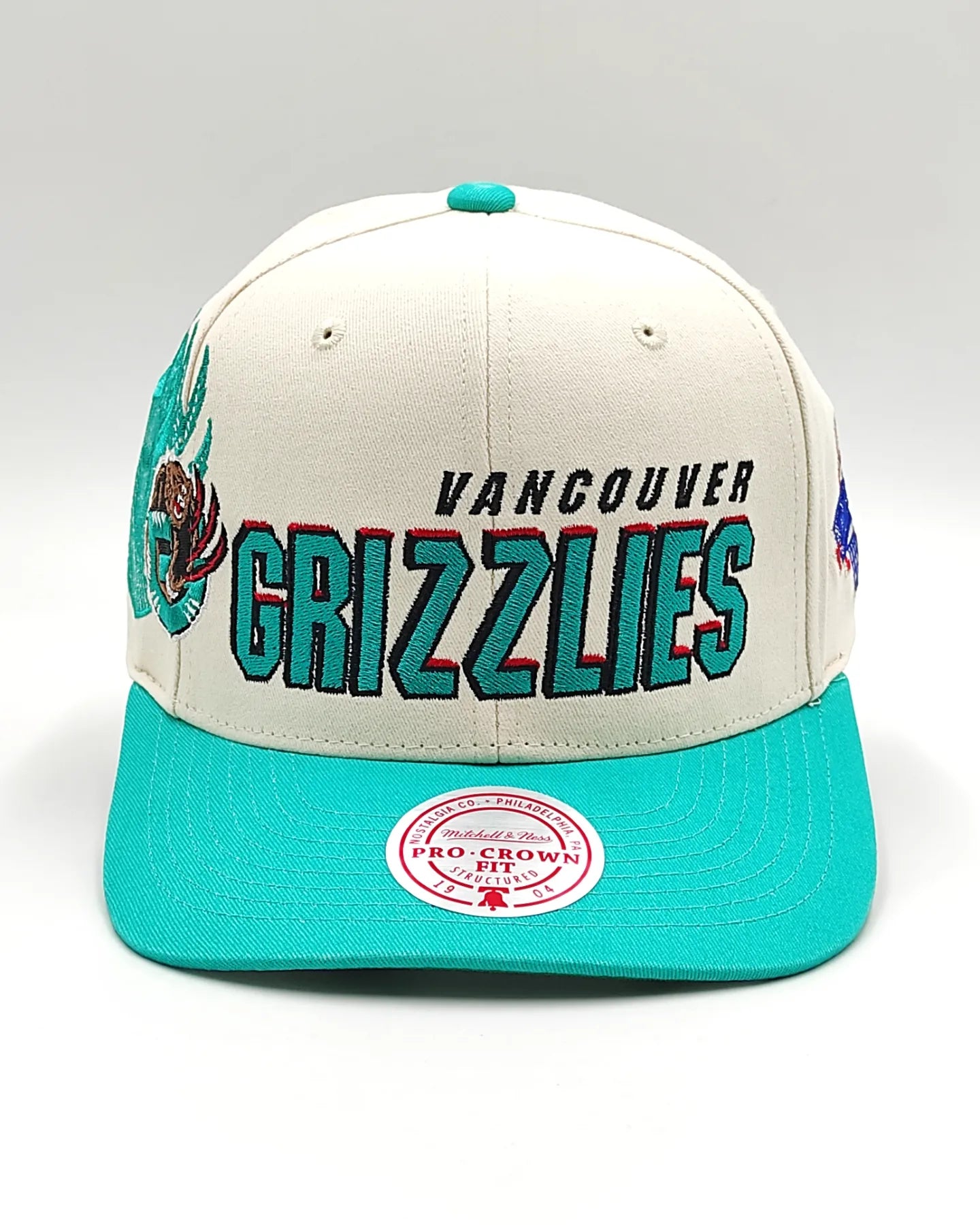 Mitchell And ness Vancouver Grizzlies '96 Draft' Gorra con cierre ajustable Pro Crown